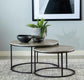 Lainey - Round 2 Piece Nesting Coffee Table - Gray And Gunmetal