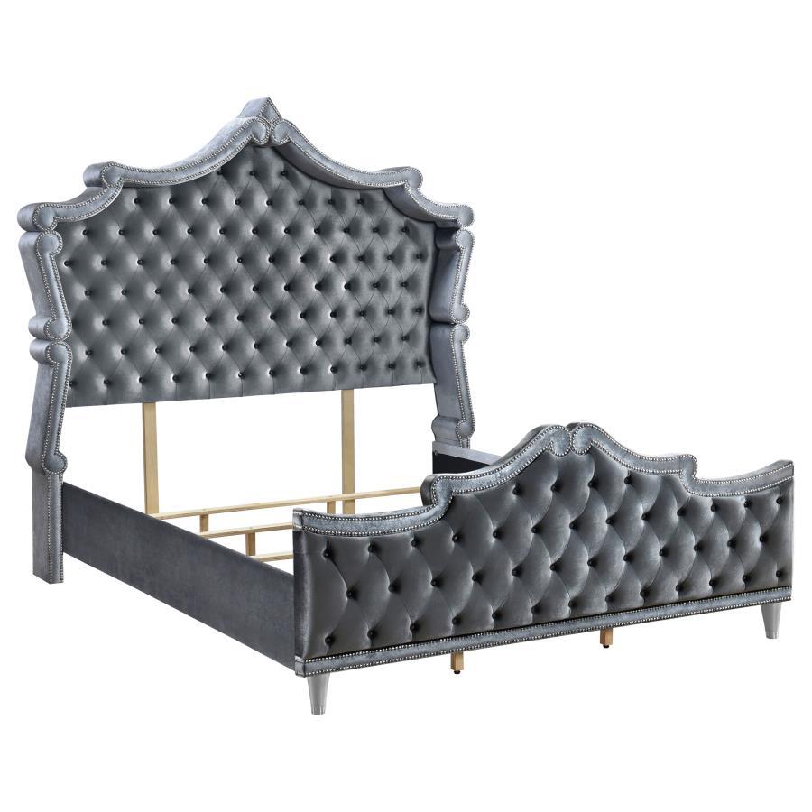 Antonella - Upholstered Panel Bed