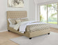 Chloe - Upholstered Panel Bed