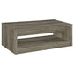 Felix - 2-Drawer Engineered Wood Coffee Table - Gray Driftwood