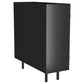 Dalia - 2 Door Accent Storage Cabinet With Shelving - Black