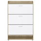 Denia - 3-Tier Engineered Wood Shoe Cabinet