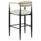 Tina - Metal Pub Height Bar Stool With Upholstered Back And Seat (Set of 2)