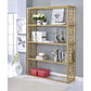 Blanrio - Bookshelf - Gold & Clear Glass