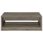 Felix - 2-Drawer Rectangular Engineered Wood Coffee Table - Gray Driftwood