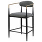 Tina - Metal Counter Height Bar Stool With Upholstered Back And Seat (Set of 2)