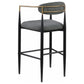 Tina - Metal Pub Height Bar Stool With Upholstered Back And Seat (Set of 2)