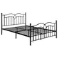 Klossen - Metal Queen Open Frame Bed - Black