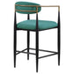 Tina - Metal Counter Height Bar Stool With Upholstered Back And Seat (Set of 2)