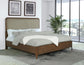 Maderia - Upholstered Panel Bed