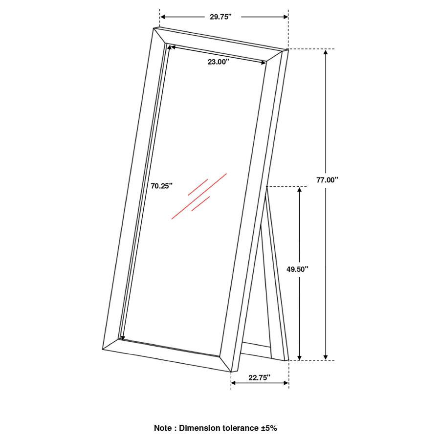 Phoenix - Rectangular Standing Floor Mirror - Black